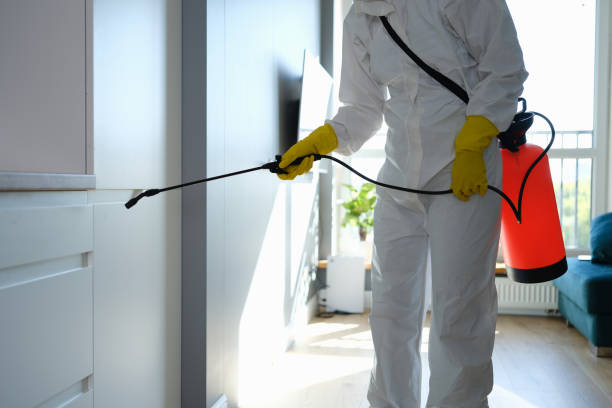 Hermosa Beach, CA Mold Removal Company